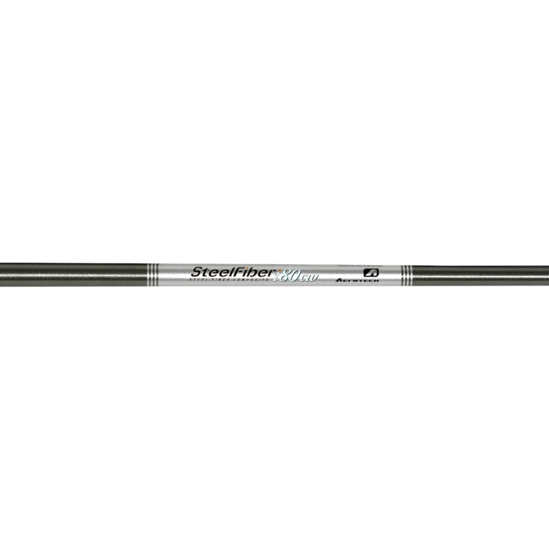Aerotech Steelfiber I80CW Graphite Regular