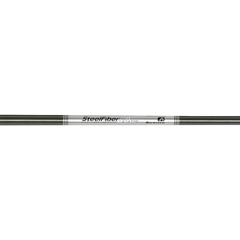 Aerotech Steelfiber I70CW Graphite Regular