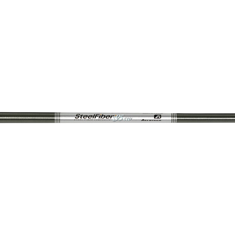 Aerotech Steelfiber I95CW Graphite Regular